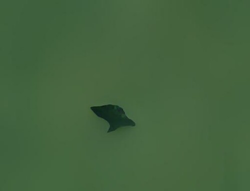 0101000020E6100000EB9D88806EE04240D7A82EB0ACD44B40.jpg