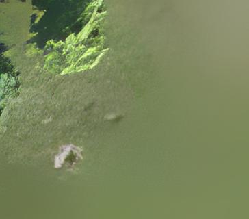 0101000020E6100000F2968558786B3E40E689F496C3F44D40.jpg