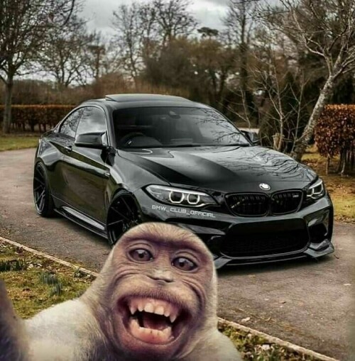 87fb4c7bdef5c51d5ce8ec98fce4c07e.jpg