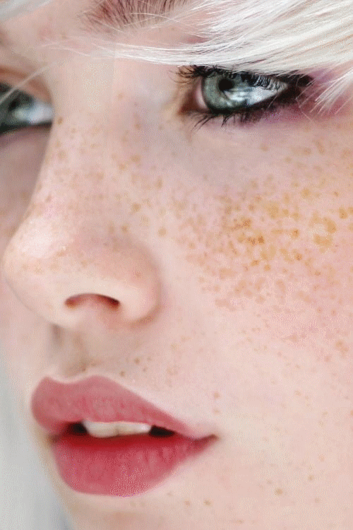 23.gif