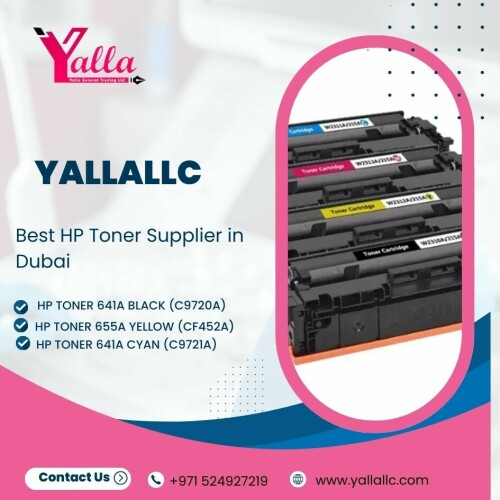 Yallallc-Image-submission-2-8022025.jpg