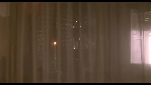 molly.mp4