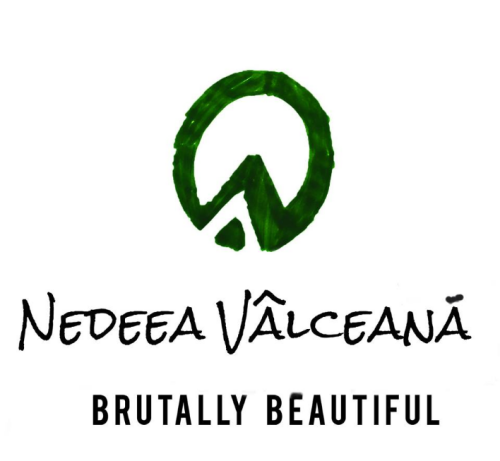 logonedeea-slogan.png