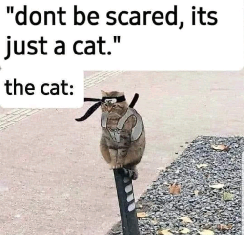 1000006867.png