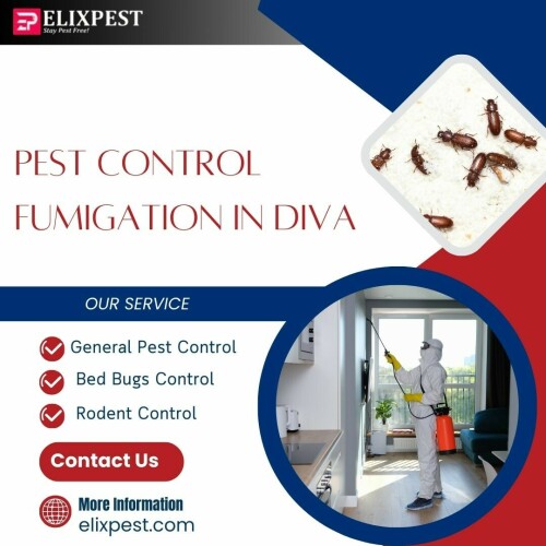 pest-control-fumigation-in-Diva.jpg