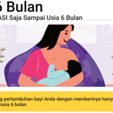 0---6-Bulan