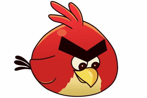 bird.jpeg