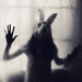 zK718PIs_75x75.png