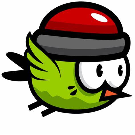 bird.jpeg