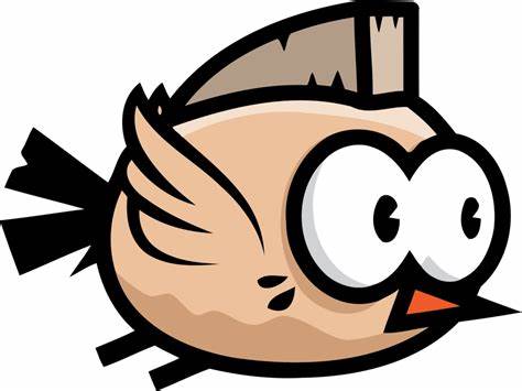 bird.jpeg