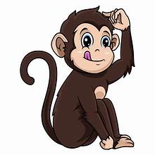 Monkey.jpg
