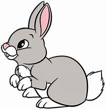 Rabbit.jpg