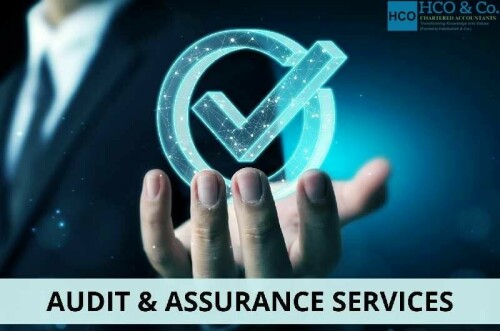 Audit-and-Assurance-Services-HCO--Co..jpg