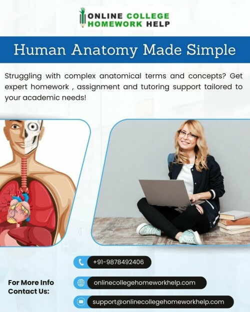 Human-Anatomy-Assignment-Help.jpg