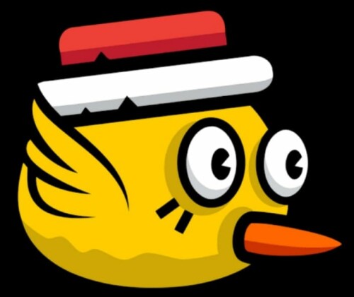 bird.jpg