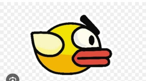 bird37aa5346880a95a9.jpg