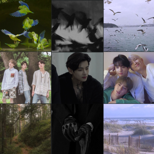 OT7---Black.png