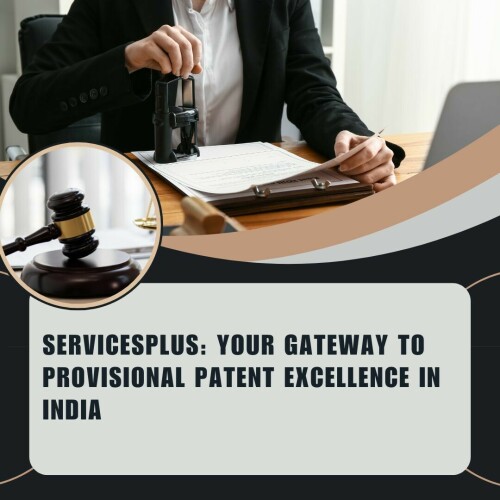 PPROVISIONAL-PATENT.jpg