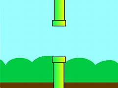 bird-5.jpg