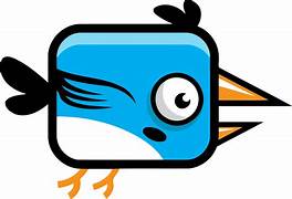 bird.jpg