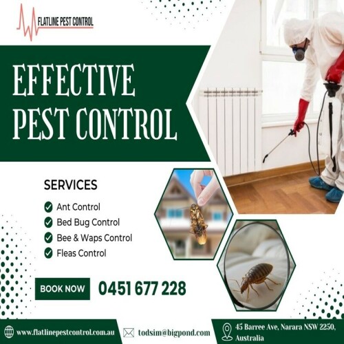Flatline-Pest-Control---Pest-Control-Lake-Haven.jpeg