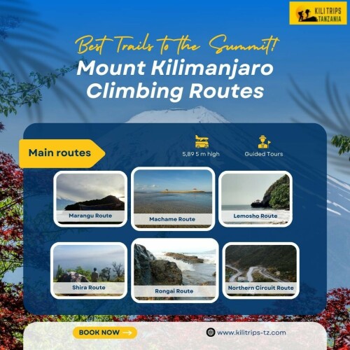 KiliTrip-Mount-Kilimanjaro-Climbing-Routes--Best-Trails-to-the-Summit.jpg