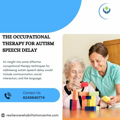 The-Occupational-Therapy-for-Autism-Speech-Delay.jpg
