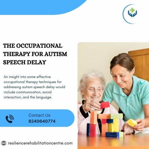 The-Occupational-Therapy-for-Autism-Speech-Delay54da2890400ee5fc.jpg