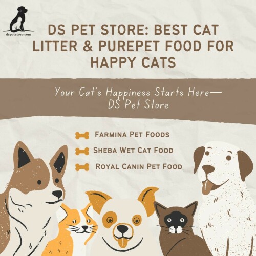 dspetstore.jpg