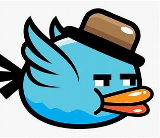 OIP.jpeg-bird.jpeg