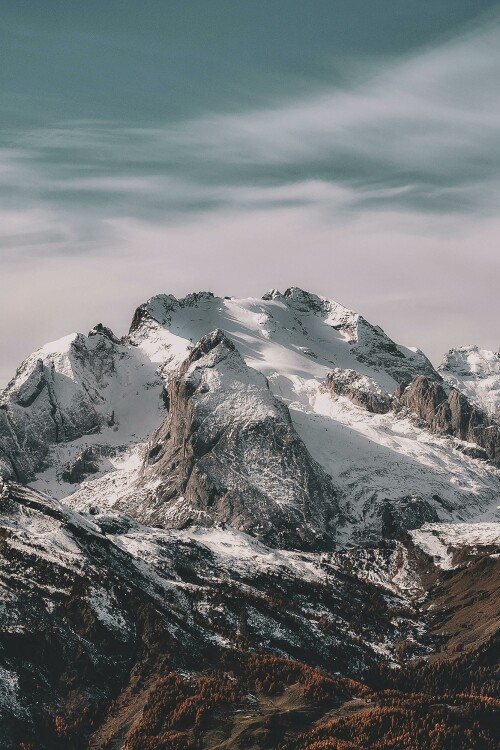 pexels-eberhardgross-1366919.jpg