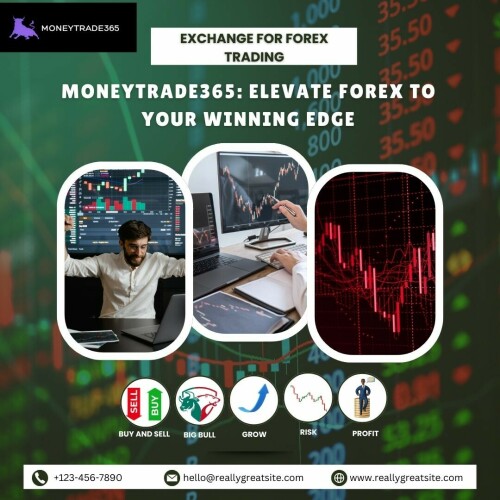 MONEYTRADE365-1.jpg