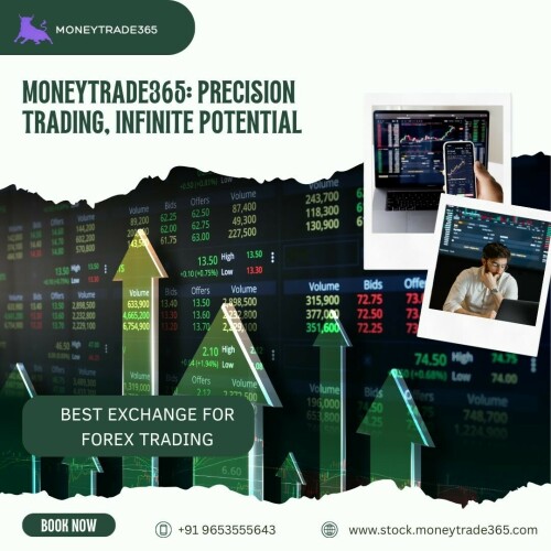 MONEYTRADE365-2.jpg