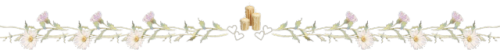 IMG_5585.png