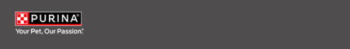 footer.jpg