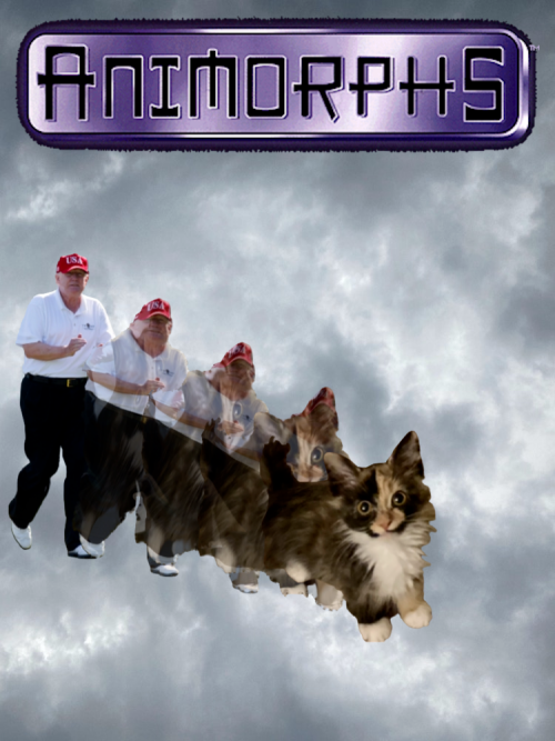 IMG_4761.png