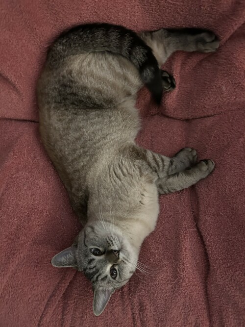 IMG_8701.jpeg