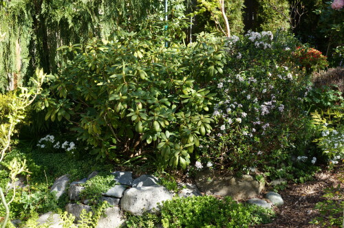 DSC09020.jpeg