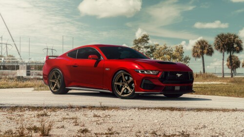 mustang.jpg