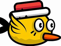 bird.jpg