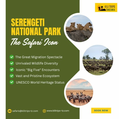 KiliTrip-Serengeti-National-Park.jpg