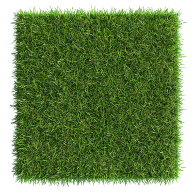 green-grass-in-a-rectangular-frame-ai-generative-free-png.webp