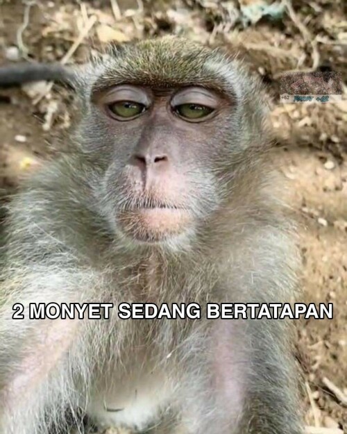m.jpg
