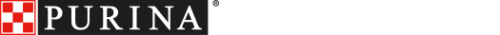 logo01.png