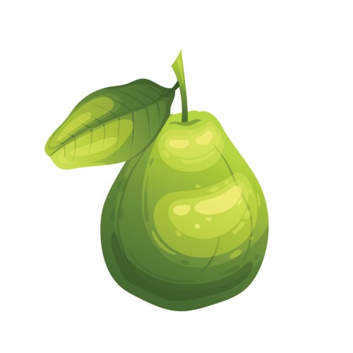 guava.jpg