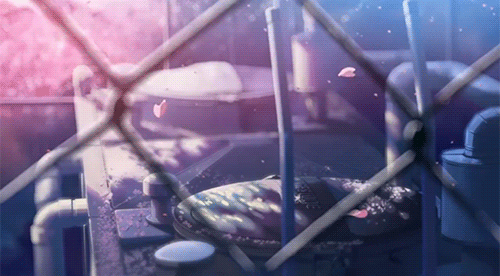 box4.gif