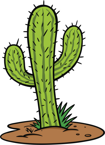 cactus-im.jpeg