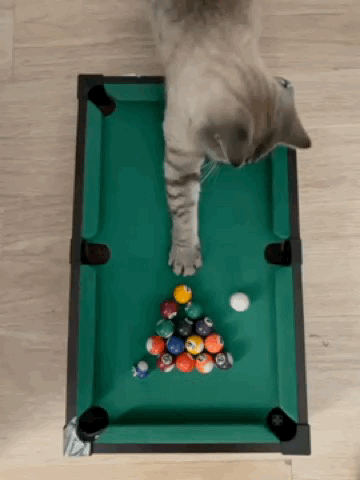 trim.055E975C-148F-427B-AA6B-BB6555396E92.gif