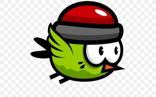 bird.jpg