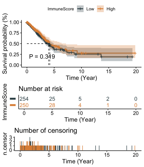 survival_curve.png